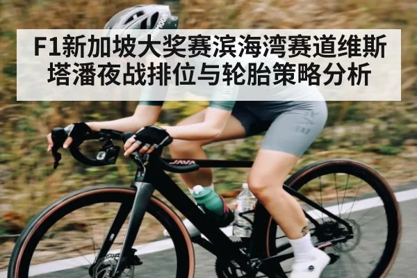 F1新加坡大奖赛滨海湾赛道维斯塔潘夜战排位与轮胎策略分析